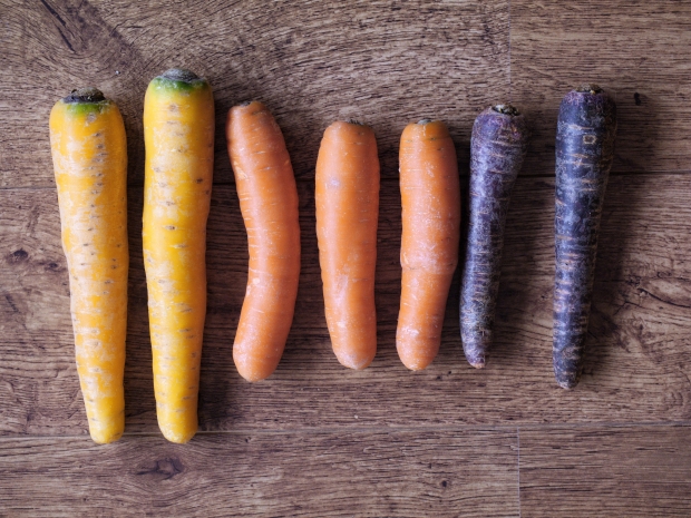 Carrots in various forms